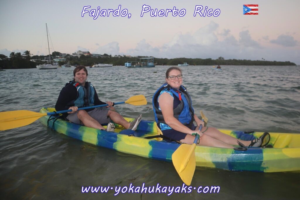 Kayaking in a Bioluminescent Bay Go See Do Explore